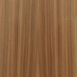 American Black Walnut (Quarter Cut)