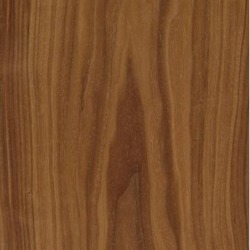 American Black Walnut (Crown Cut)