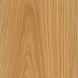 American White Oak