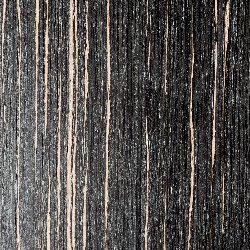 Black Mexican Vine Tree 15270