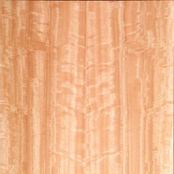Eucalyptus Veneer (Quarter Cut)