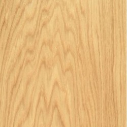 European Oak