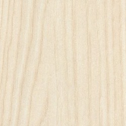 Formica Pale Ash - F1004