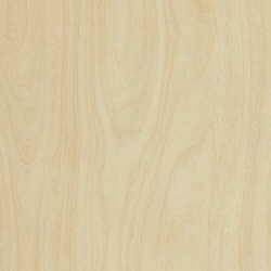 Formica Raw Birchply - F8910