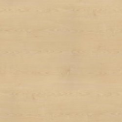 FLOWERED MAPLE - H087 ST79