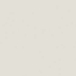 Formica Silver - F2791