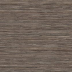 GREY BEIGE ZEBRANO - H3005 ST22
