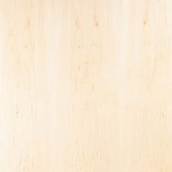 North American Maple