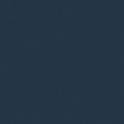 Polyrey Bleu Encre B206