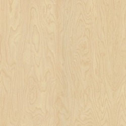 Polyrey Bouleau de Siberie B102