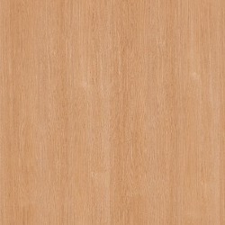 Polyrey Chene Montorgueil C203