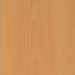 Steamed Beech Veneer (Crown Cut)