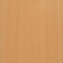 Steamed Beech Veneer (Quarter Cut)