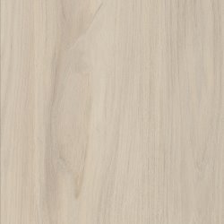 WHITE CAPE ELM - H3760 ST9